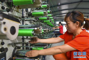 河北景縣 研發(fā)環(huán)保應用橡塑產(chǎn)品 助力企業(yè)轉(zhuǎn)型升級