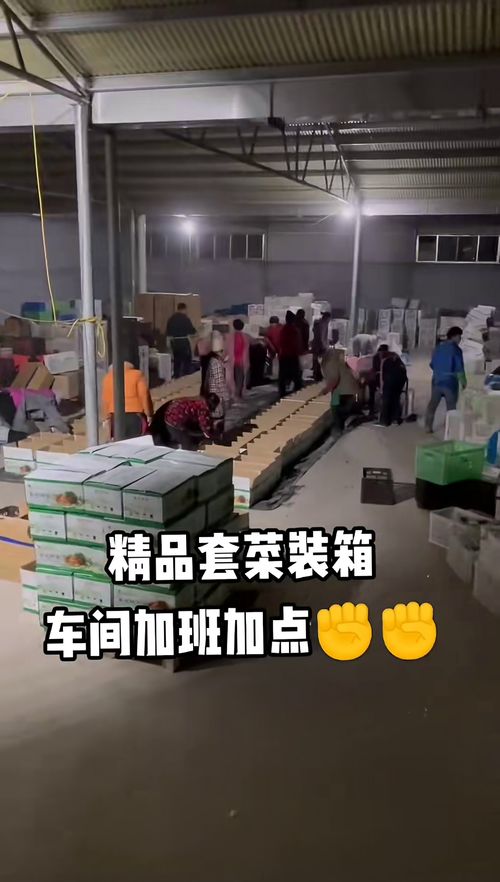 全國(guó)無(wú)縫隙發(fā)貨,精品套菜裝箱